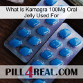 What Is Kamagra 100Mg Oral Jelly Used For viagra2